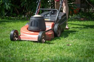 Garten im Herbst: To-Dos für Gartenbesitzer