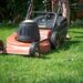 Garten im Herbst: To-Dos für Gartenbesitzer