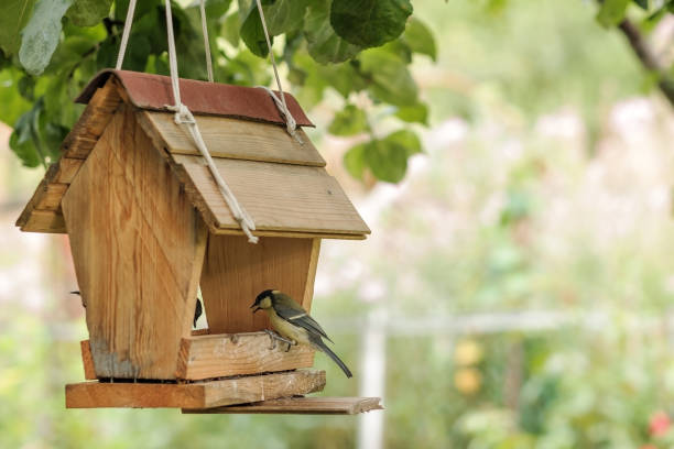 Vogelfutterhӓuser